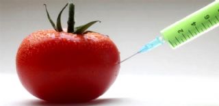 GDO'da Algı Operasyonları