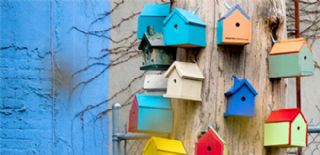 Toplumsal Algılar ve Bireye Yansıyan Yönü